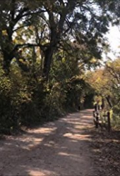 The Stalker of Lady Bird Lake Part IV: A Location Scouting Film