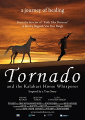 Tornado i zaklinacz koni 