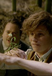 Fantastic Beasts and Where to Find Them: Bowtruckle