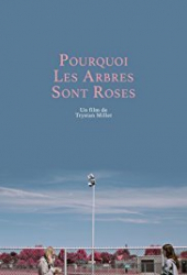 Pourquoi les arbres sont roses