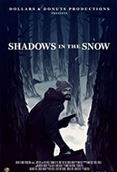 Shadows in the Snow