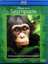 Szympans