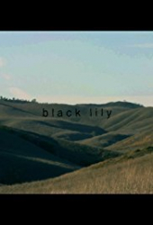 Black Lily