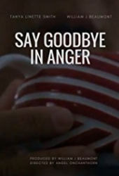 Say Goodbye in Anger