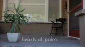 Hearts of Palm