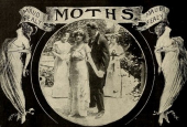 Moths