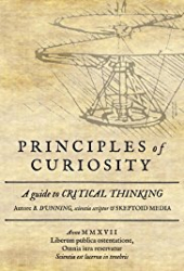 Principles of Curiosity