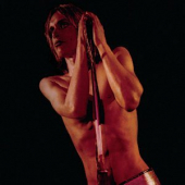 Search and Destroy: Iggy & The Stooges’ Raw Power