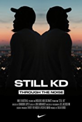 Still KD: Through the Noise