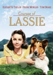 Odwaga Lassie