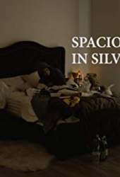Spacious 1 BR in Silverlake