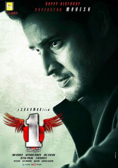 1 – Nenokkadine