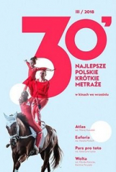Najlepsze polskie 30′ vol 3