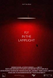 Fly in the Lamplight