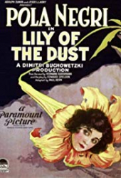 Lily of the Dust