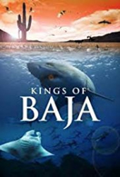 Kings of Baja