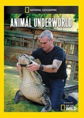 Animal Underworld