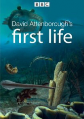 David Attenborough’s First Life