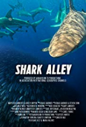 Shark Alley