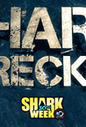 Sharkwrecked