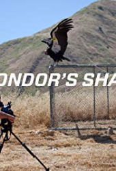 The Condor’s Shadow