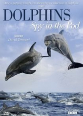 Dolphins: Spy in the Pod