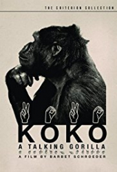 Koko, le gorille qui parle