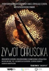 Żywot Chruścika