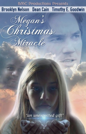 Megan’s Christmas Miracle