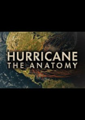 Hurricane: The Anatomy