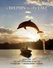 A Dolphin in Our Lake