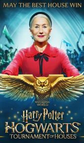 Harry Potter: Turniej Domów Hogwartu