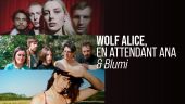 Wolf Alice, En attendant Ana & Blumi