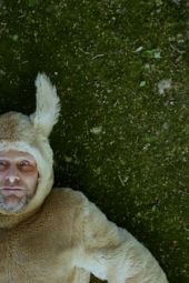     Canis familiaris (5/6)