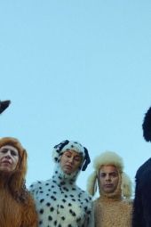     Canis familiaris (2/6)