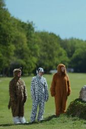     Canis familiaris (3/6)