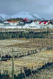     Podróż na głęboką północ