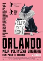 Orlando - moja polityczna biografia