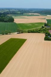 Belgia: wielkie zmiany dla rolników