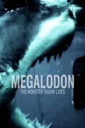 Megalodon - zagadka głębin