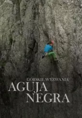 Górskie wyzwania – Aguja Negra