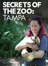 Sekrety zoo: Tampa