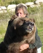Bart the Bear