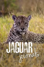 Dzienniki jaguara