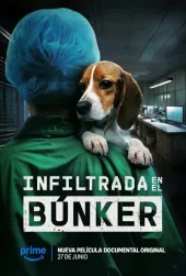 Undercover. Inside the bunker