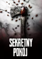 Sekretny pokój