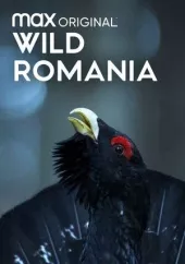 Dzika Rumunia