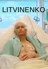 Litwinienko