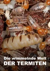 Świat według termitów