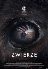 Zwierzę